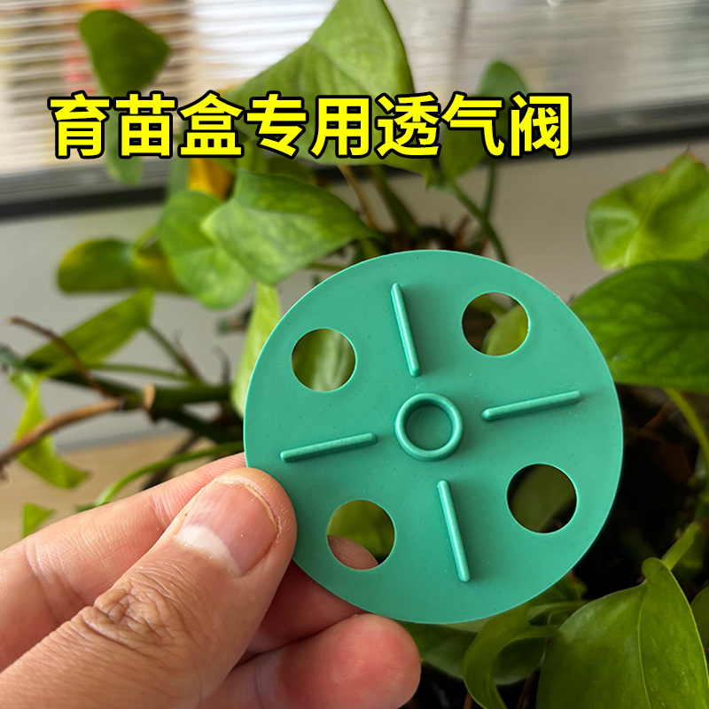 跨境热销育苗盒透气口圆盖园艺多功能盆栽多肉种植盆6穴/12穴通用