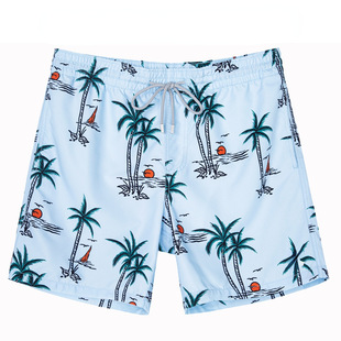 2023 Cross-border Trade Summer Men's Casual Shorts Fashion Digital Printing Drawstring Men's Hawaiian Beach Pants