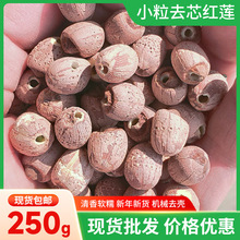 湘潭莲子小粒去芯红莲250g干货无芯红莲散装红莲子湘潭莲子批发
