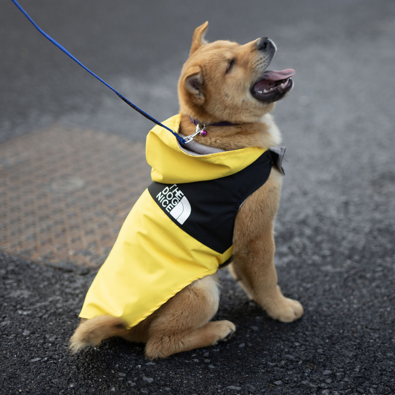 Cross-Border Bichon Teddy Spring and Autumn Popular North Face Waterproof Raincoat Jacket Dog Pet Clothing Handsome Clothing Batch