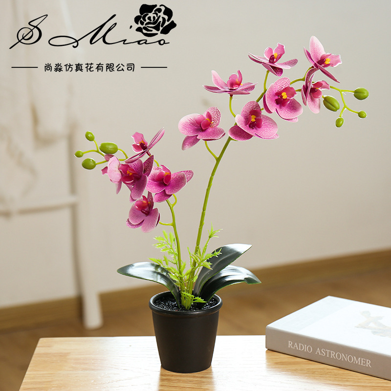 Flor falsa impresa en 3D orquídea mariposa pequeña flor de simulación bonsai creativa decoración interior fábrica directa image 4