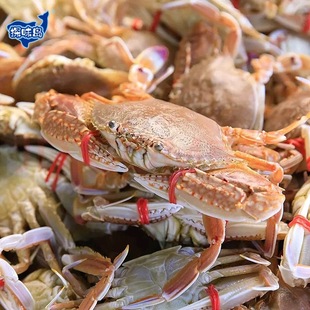 ����S���]�������|ɽ�u��з����з�r������з����зһ��2-3ֻ