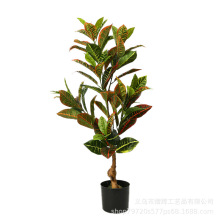 ���枢���������S���~�߲��̨�^�~ֲ�����׃ɫľ���~ľ�Gֲ