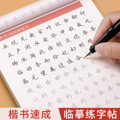 手本の書き方をして字を練習します。大人の楷書の書き方をします。