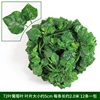 72 grape leaves (12 opp bags)