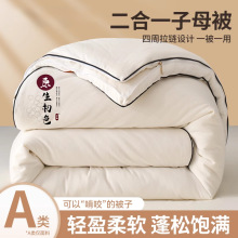 大豆纤维被子2025冬被芯二合一子母冬天加厚保暖宿舍单人四季通用
