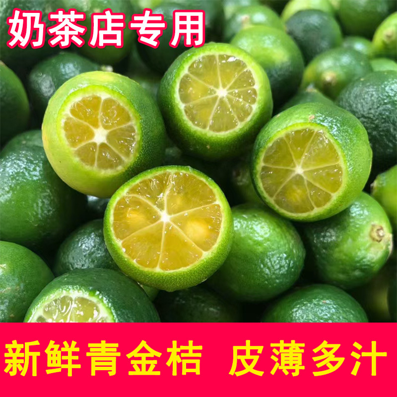 Hainan Green kumquat lemon Small kumquat wholesale fresh lemon Tea shop Flood damage Juicing drinks raw material indigo plant