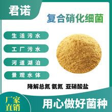 复合硝化细菌降氨氮总氮亚硝酸盐污水处理水产调水硝化菌反硝化菌