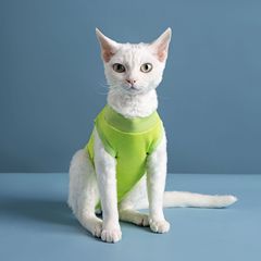 Pet Cat Spay Postoperative Suit Anti-Licking Anti-Scratching Anti-Biting Mother Cat Weaning Suit Soft and Close-Fitting Comfortable Spay Postoperative Suit Wholesale