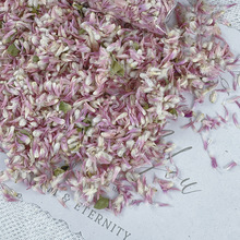 ǧ���Ϸۼt��÷�߲ʾոɻ����滨��м�S�����l��������Ȼ�ɻ���