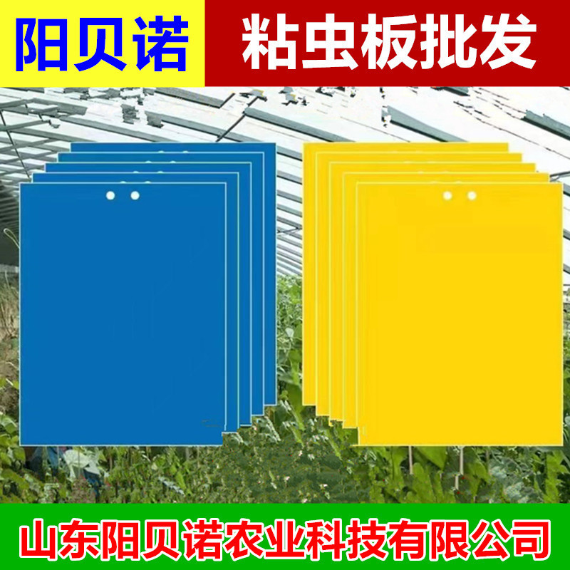 Sticky insect board wholesale tea garden orchard vegetable garden greenhouse special whole Box 1000 factory direct double-sided strong yellow board