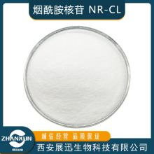烟酰胺核苷 烟酰胺核糖氯化物 NR-CL CAS:23111-00-4 SC现货供应