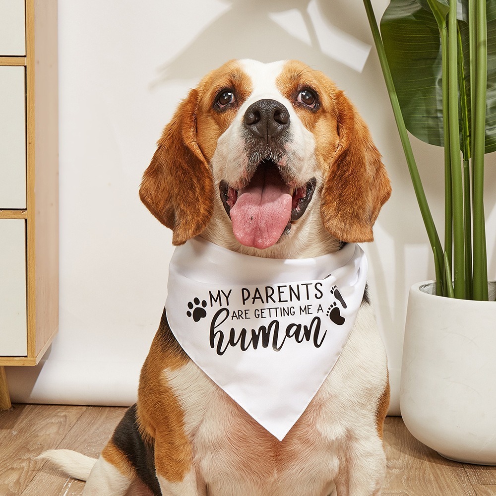 Nuevos productos transfronterizos toallas triangulares para perros pequeños, medianos y grandes, toallas de saliva para perros, bufandas para mascotas, toallas para perros de doble cara