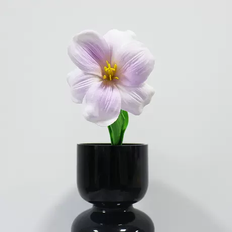 Crushed Ice Purple Brownie Tulip