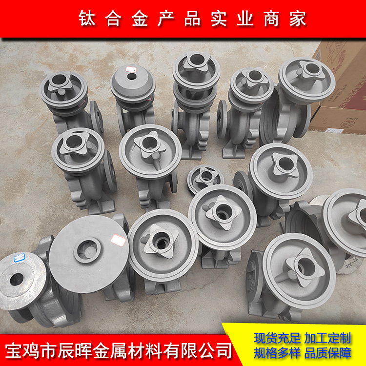 TA2钛铸件 钛泵体 钛叶轮 钛泵盖 TC4钛合金铸件