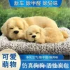 Mother and son Labrador front mat + gray plush pad