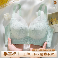 2025秋冬新品手掌杯小胸聚拢显大防下垂收副乳不空杯蕾丝文胸罩