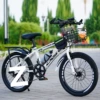 Great deal [disc brake discoloration] + basket + shelf
