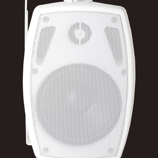 Wireless Wall-Mounted Speaker for Home, Conference, Store, Public Broadcasting, Wooden Subwoofer, Smart Low-Frequency Wireless Bluetooth