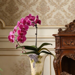 �͹ŶU���p�ݸ߼��к��~߅�մɻ�������҃Ⱥ����m�d�ӻ���������