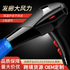 国境を越えた電気ヘアドライヤー、サロン専用強力送風ヘアドライヤー、家庭用学生用恒温ヘアケアドライヤー