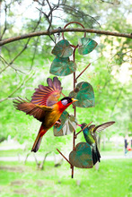 跨境新品小鸟喂鸟器 户外悬挂式塑料金属鸟喂食器花园自动喂鸟器
