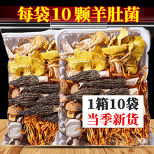 云南特产七彩菌汤包松茸菌菇汤料包干货食用菌菇厂羊肚菌汤包批发