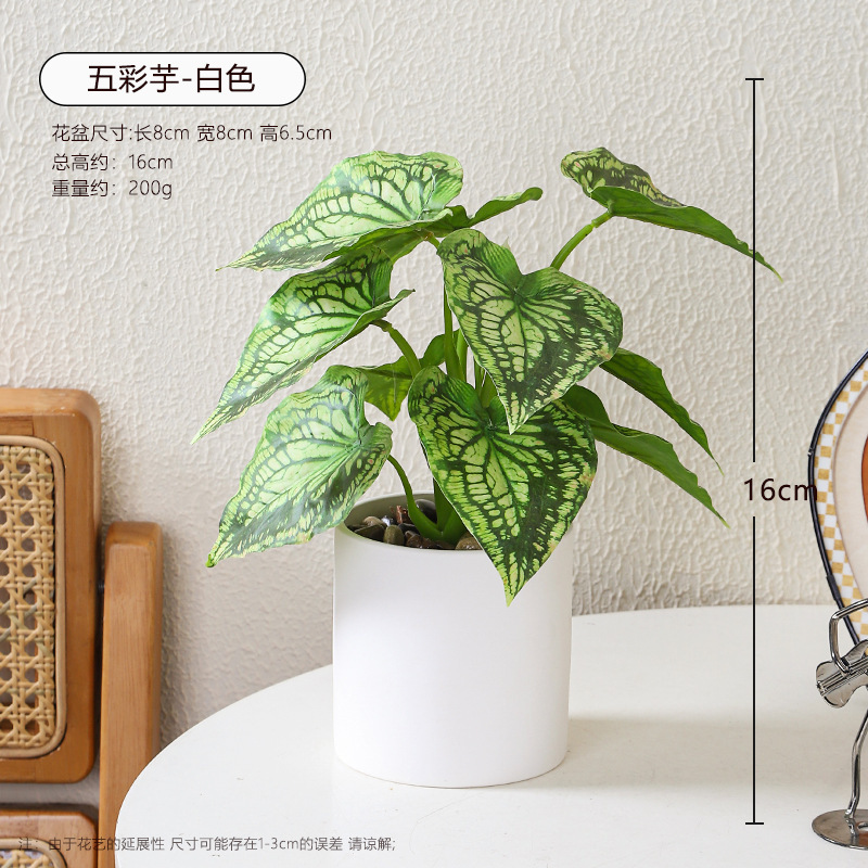 Plantas artificiales nórdicas, bonsái pequeño y suculento, adornos decorativos para la sala de estar del hogar, flores artificiales, flores falsas, plantas en macetas de cerámica image 43
