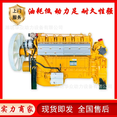 350Hp 400Hp 450Hp Weichai Yük Maşını WD615 Dizel Mühərriki Dəyişdirilməsi