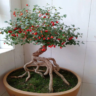 ����辰���Ի��ܘ䘶�Ϙ��ļ��쾰�^ֲ��Nֲ����΢���^�̨�Gֲ