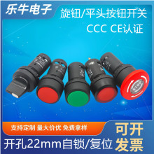 �¿ͣ��ť���� �������Ը�λ 22mm ��ť��������/��λ��ť����