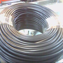 ���Ƹ��Nͬ�S��|���N���^�쾀�o��ȫ�l�����l�b����̖������̖