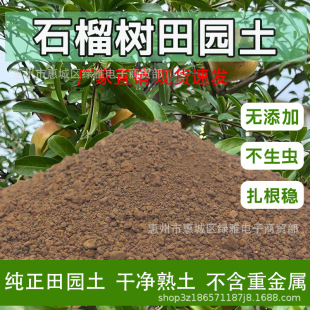 Pomegranate Tree Pastoral Soil Special Soil for Planting Pure Natural Sandy Soil Loess Vegetable Garden Soil Green Planting Black Soil Tree Planting Organic Fertilizer