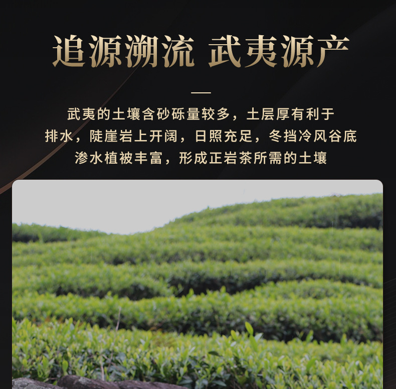 岩茶下半部分_01