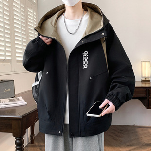 2026�����¿�r�Ў��⳱���ٴ��������ͬ�Bñײɫ�A��������