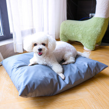 ɲϴɳlƼ򹷸C؈CļͨƤ|ӲճëСȮ