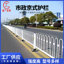 厂家供应护栏京式护栏市政护栏城市交通分流美化道路护栏批发