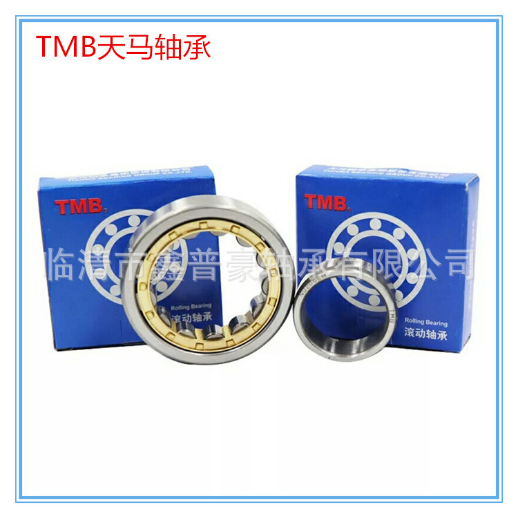 TMB浙江天马轴承圆柱滚子轴承NJ2205EM 22062207 22082209
