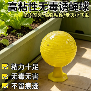 �羳�Tω��С�w�x�皢�����҃�ȥ���w�x����N����xճ�x���T�nω