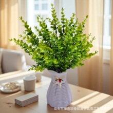 7�^�ȼ����Gֲ����ֲ��b��������ˮ�ݰ����廨���栝�辰