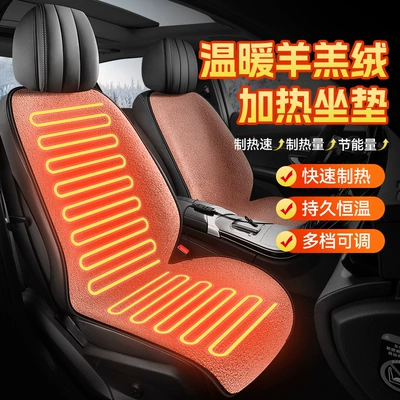 Multi-function pad: with Backrest, Solid Color, 12V