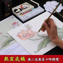 工笔画白描底稿初学者套装临摹勾线可直接上色国画花卉熟宣纸