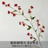 New Liu Xuelan-Red