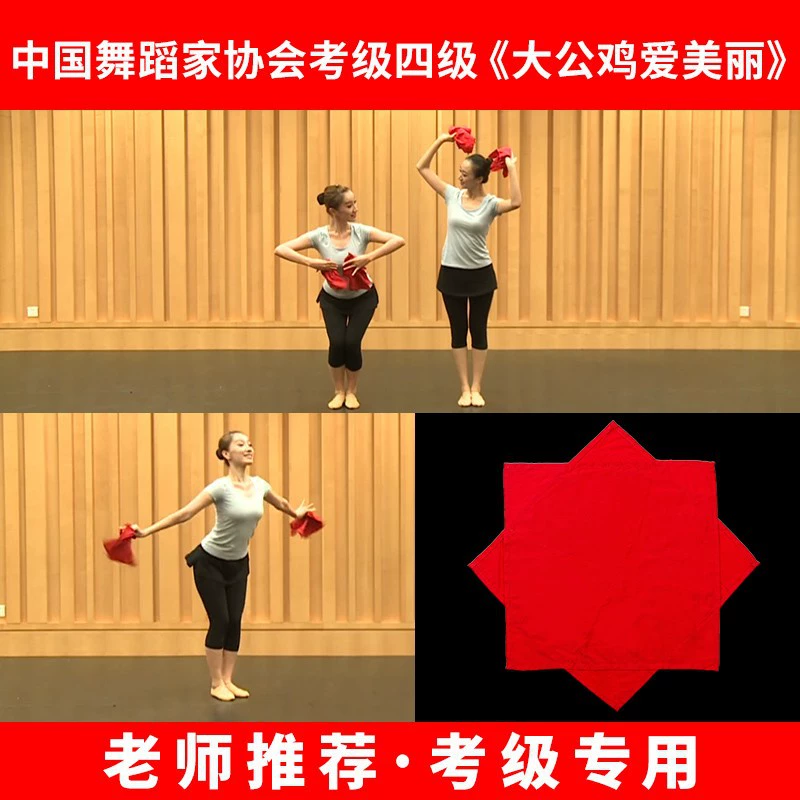 Танцевальная шелковая хлопчатобумажная ткань 4-4 уровня реквизита для экзамена