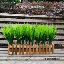 秧苗小麦苗韭菜造景装饰配材塑料水黄色稻苗绿植舞台道具麦太保