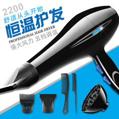 Household Hair Dryer Manufacturer Wholesale Household Small Appliances Salon Cold Hot High Power Foreign Trade Cross-border Hair Dryer
