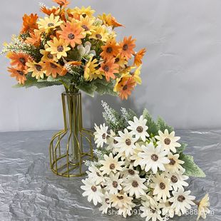 5��20��������С�հ��� �ͮ����滨СҰ�� INS��@��ɭϵ�b����l