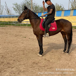 С���R �R���w���� ��Ѫ�R�R�x ���w�T���R���R �Z���õ��R�����X