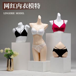 ����ģ��չʾ����Ů�����۔n���؃�ѝģ�ؼܼ����wģ�͵�����ģ