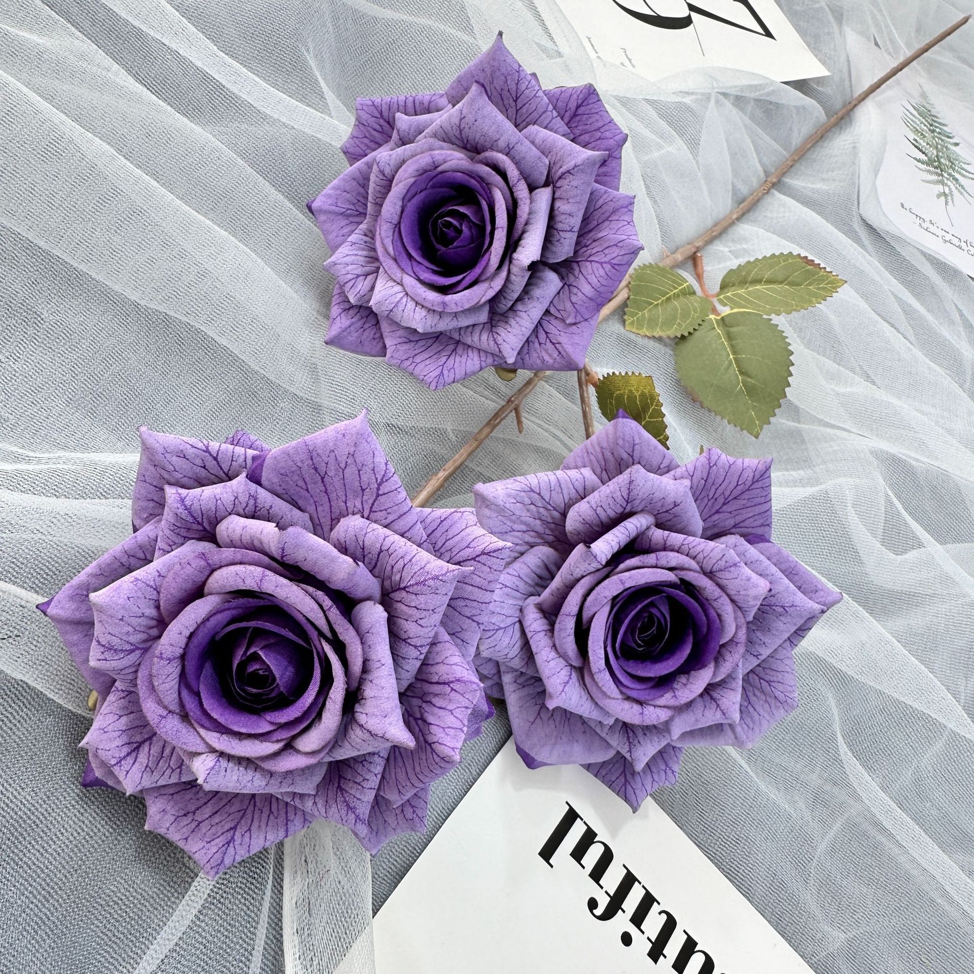Violet de rêve